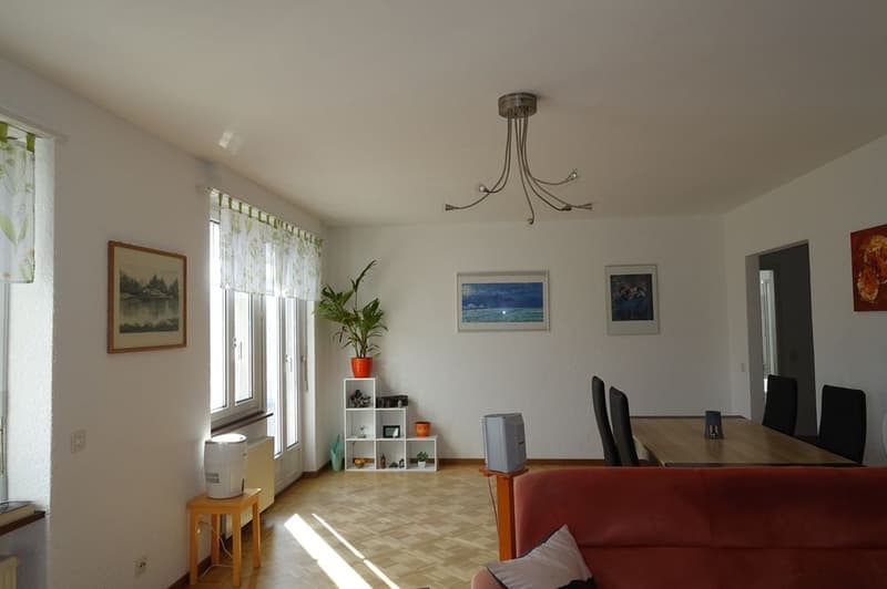 open space living room with dining room, hardwood floor, windows, sofa, dining table, radiators, light fixture, paintings, plant, speaker, heaters, radiator