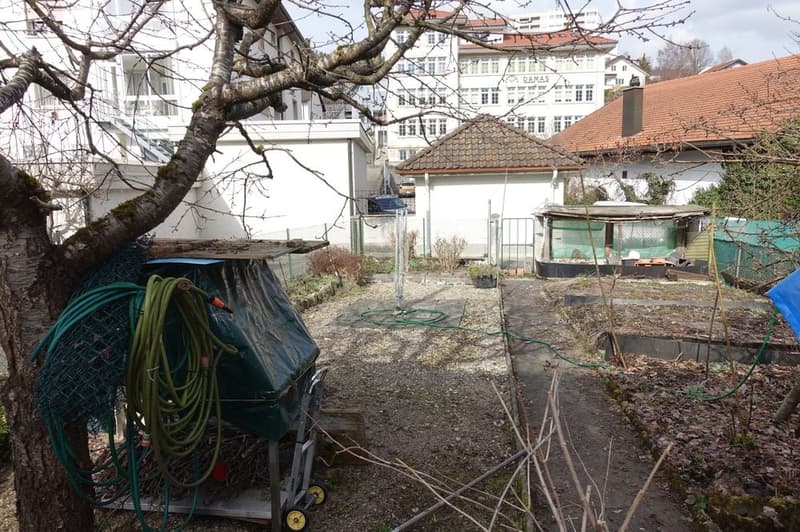 Garden with gravel path, green hoses, and a tree with a covered cart