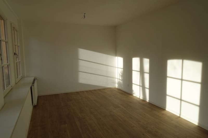 Tramelan - 3.5-Zimmer-Wohnung komplett renoviert (1. Monat gratis) (4)