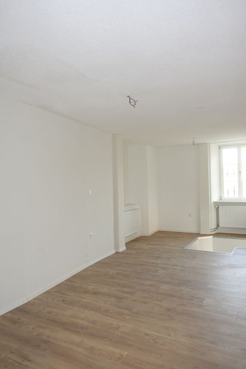 Tramelan - Appartamento-ufficio di 2.5 locali completamente ristrutturato (1° mese offerto) (3)