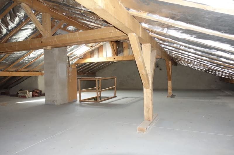 Tramelan - Family house with 5 1/2 rooms and garage (15)