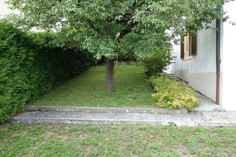 Tramelan - Maison familiale de 5 1/2 pièces située au centre de la localité (4)