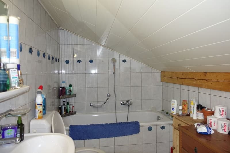 Les Bois - Maison individuelle de 2 appartements indépendants et garage double (14)