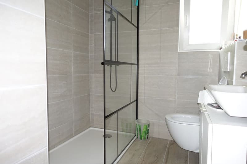 Les Bois - Maison individuelle de 2 appartements indépendants et garage double (9)
