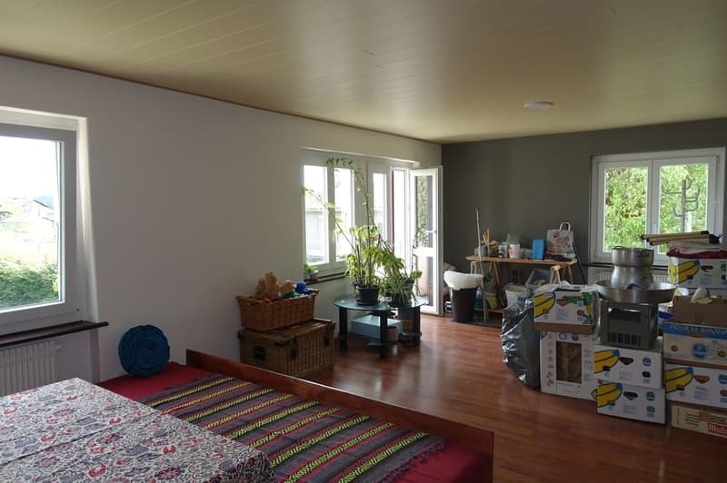 Les Bois - Maison individuelle de 2 appartements indépendants et garage double (7)