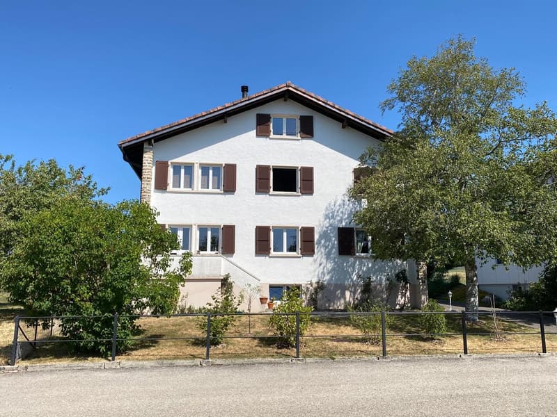 Les Bois - Maison individuelle de 2 appartements indépendants et garage double (1)