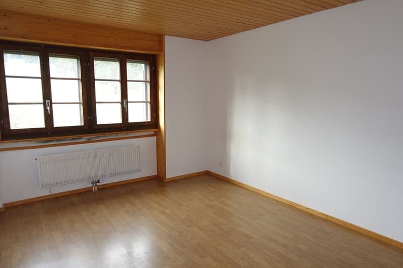 Les Reussilles - Appartement de 4 1/2 pièces + 2 chambres indépendantes + studio + 3 boxes à chevaux (10)