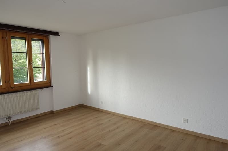 Les Reussilles - Appartement de 4 1/2 pièces + 2 chambres indépendantes + studio + 3 boxes à chevaux (6)