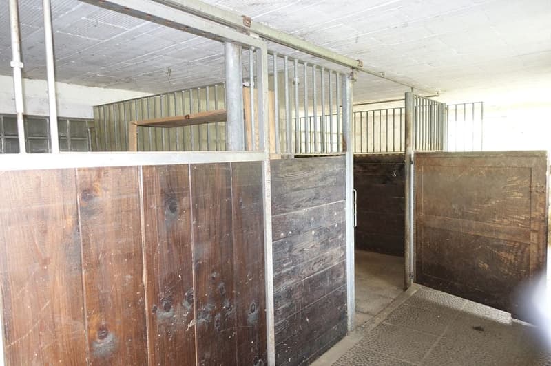 Les Reussilles - Appartement de 4 1/2 pièces + 2 chambres indépendantes + studio + 3 boxes à chevaux (15)
