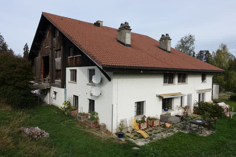 Les Reussilles - Appartement de 4 1/2 pièces + 2 chambres indépendantes + studio + 3 boxes à chevaux (1)