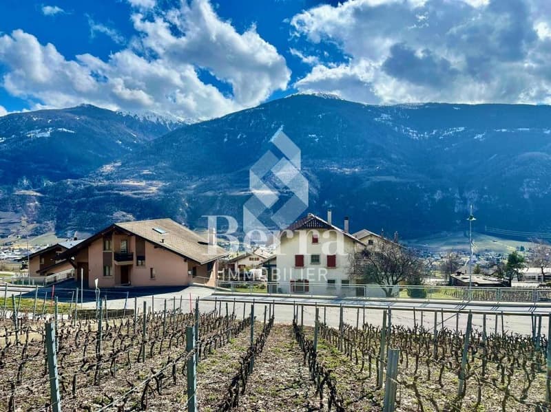 Casa in Boè a Flanthey (9)