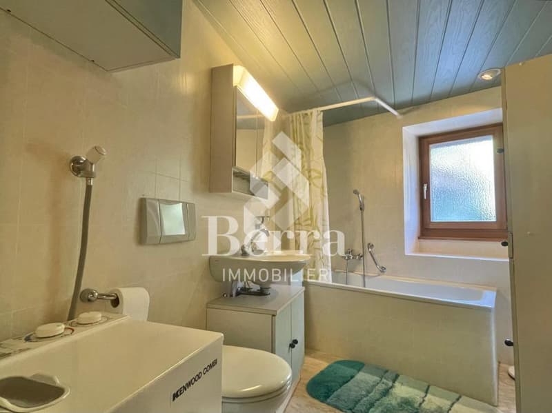 Apartment with 6.5 rooms and mezzanine (10)