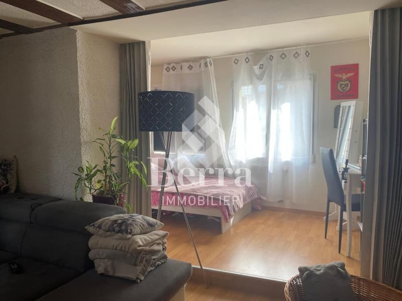 Edificio misto con café-bar e appartamenti - nel cuore del vecchio villaggio di Saxon (5)
