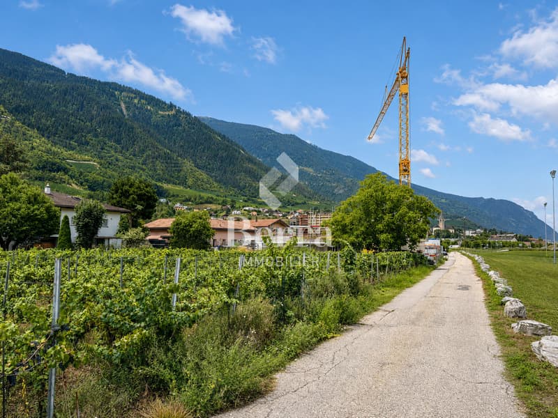Villas jumelées de 5.5 pcs à Chalais (6)