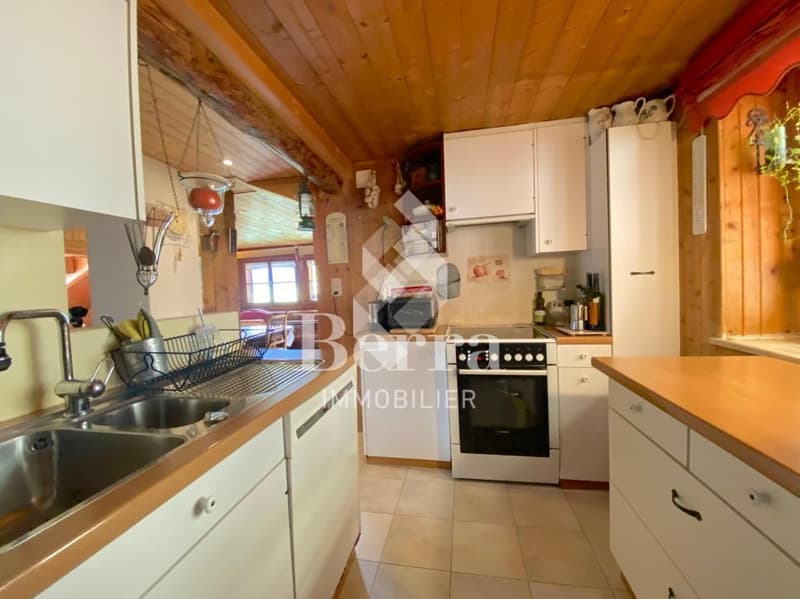 Appartement - Terrasse et terrain pour aggrandissement ! (13)