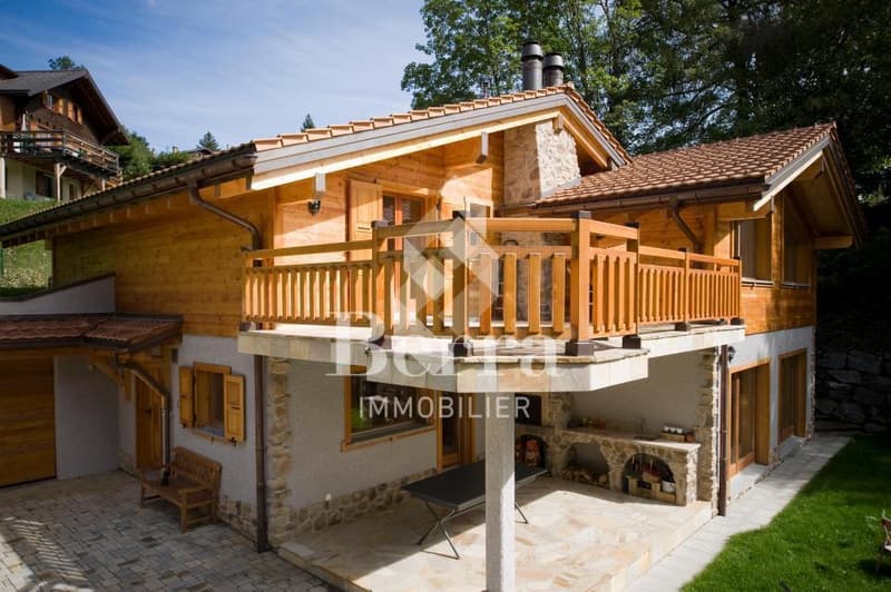 Chalet de haut standing en montagne ! (3)