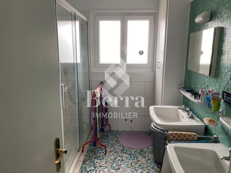 4.5 rooms - Great value for money - top floor (11)