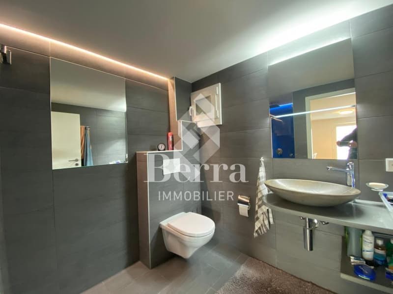 Beautiful renovated chalet with independent studio and panoramic view of Lake Geneva (11)
