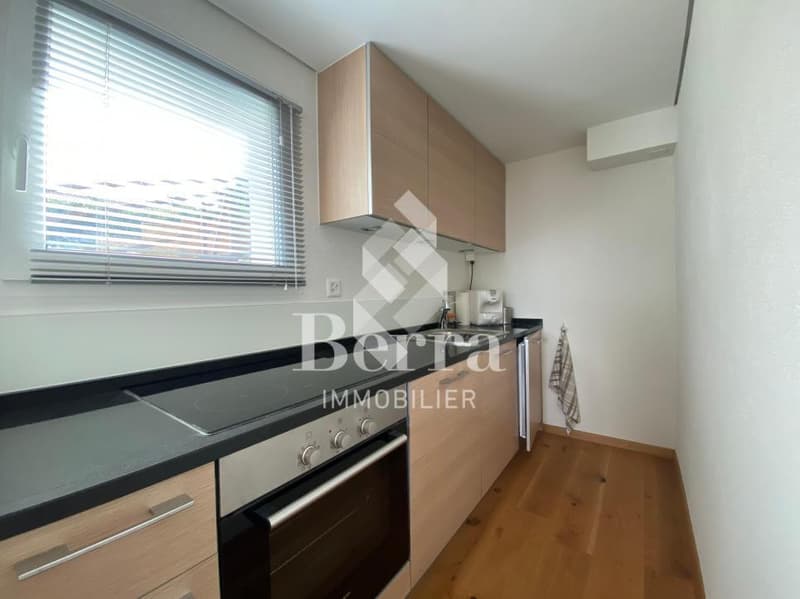 Beautiful renovated chalet with independent studio and panoramic view of Lake Geneva (8)