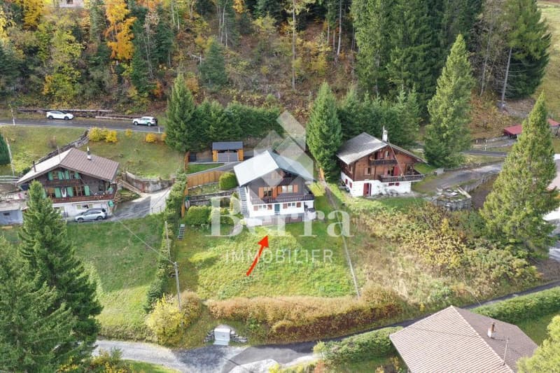 Beautiful renovated chalet with independent studio and panoramic view of Lake Geneva (2)
