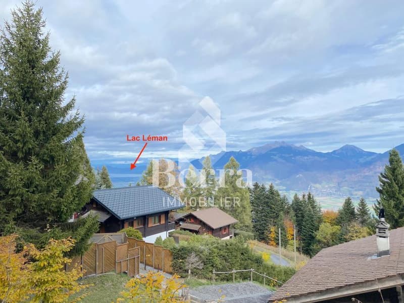 Beautiful renovated chalet with independent studio and panoramic view of Lake Geneva (1)