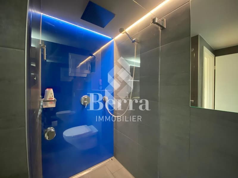 Beautiful renovated chalet with independent studio and panoramic view of Lake Geneva (12)