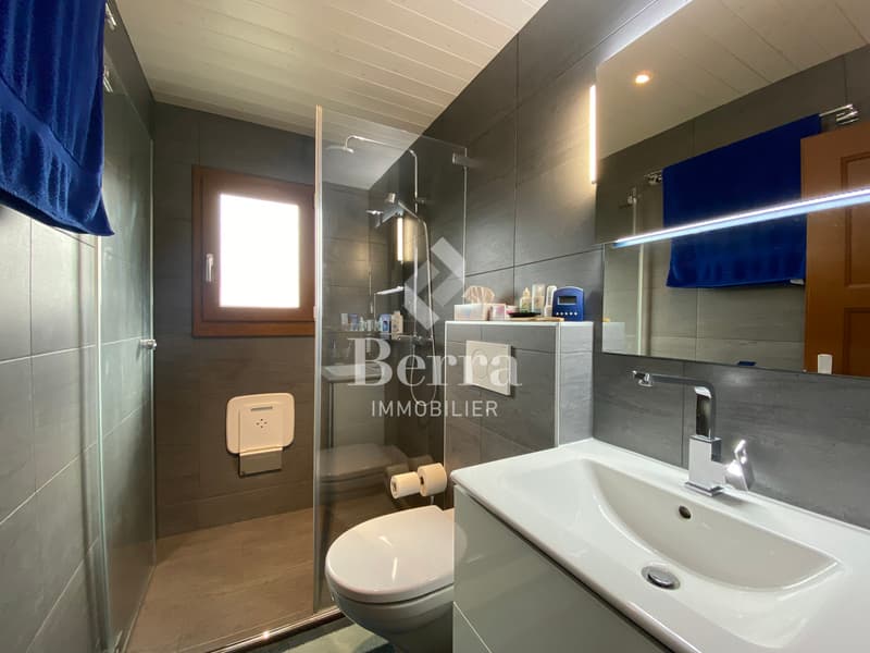 Beautiful renovated chalet with independent studio and panoramic view of Lake Geneva (5)