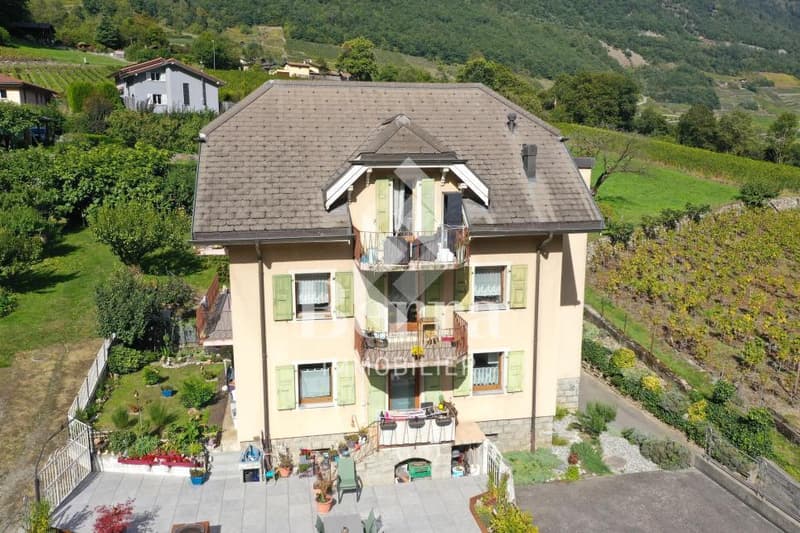 Duplex au dernier étage ! Le Brocard ! (8)