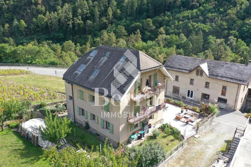 Duplex au dernier étage ! Le Brocard ! (10)