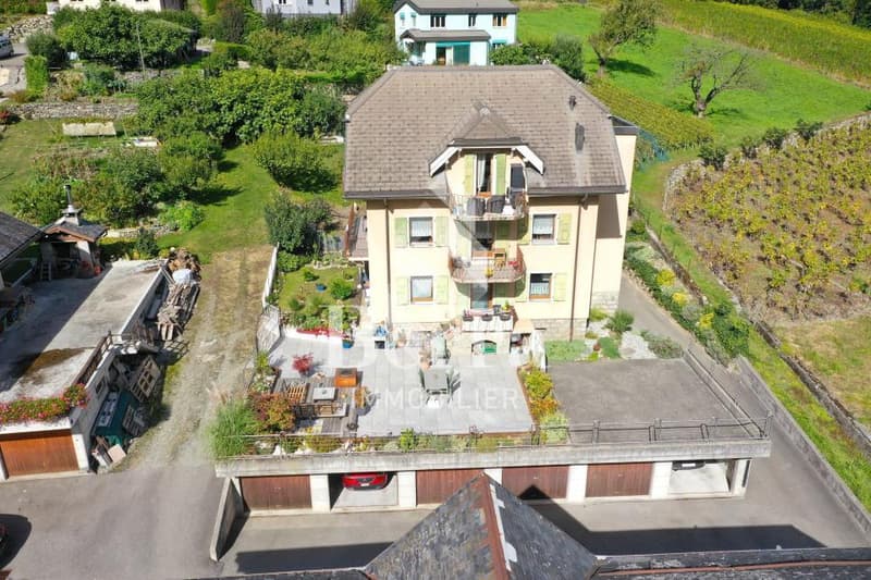 Duplex au dernier étage ! Le Brocard ! (9)