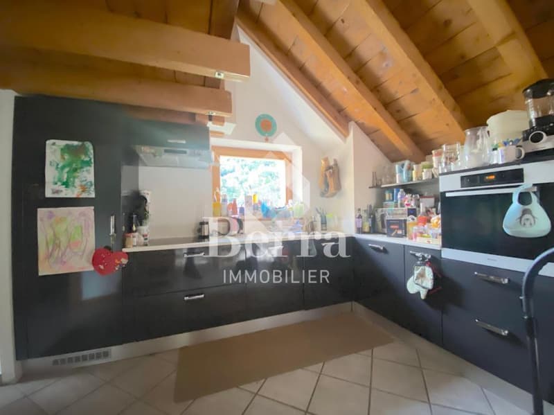 Duplex au dernier étage ! Le Brocard ! (4)