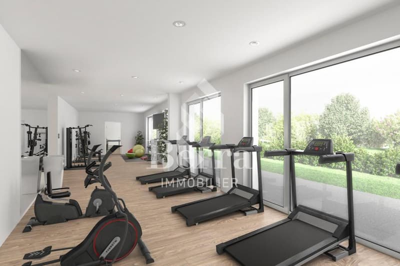 Appartements avec beaux volumes (4)