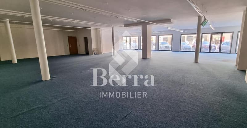 Commercial Space in the City of Sierre (3)