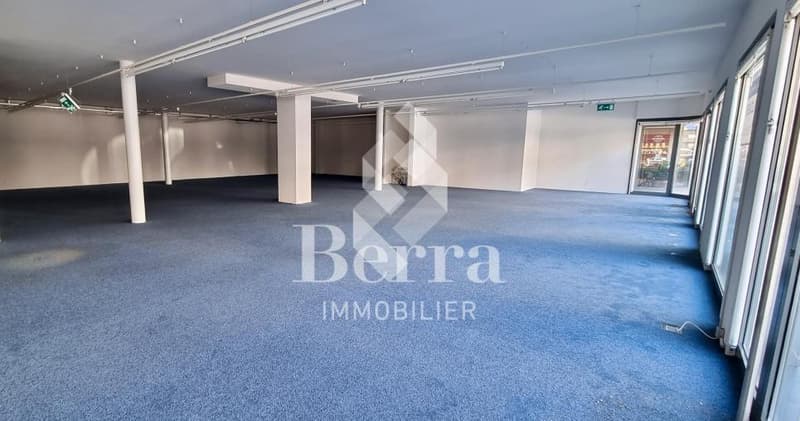 Commercial Space in the City of Sierre (4)