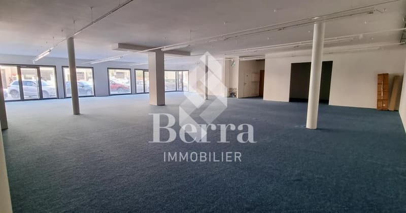 Commercial Space in the City of Sierre (2)
