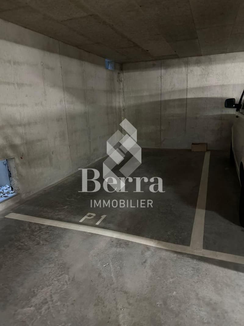12 Parkplätze in der Tiefgarage (1)