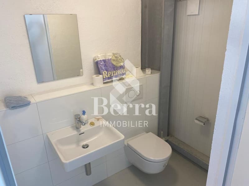 For rent - Modular industrial halls in Ardon (VS) (7)