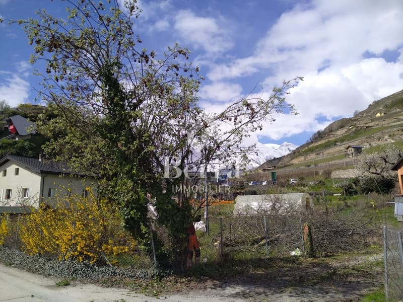 Portachon - Chateauneuf Sion (10)