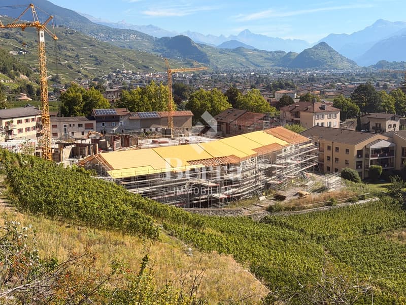 Le Clos des Forges (7)