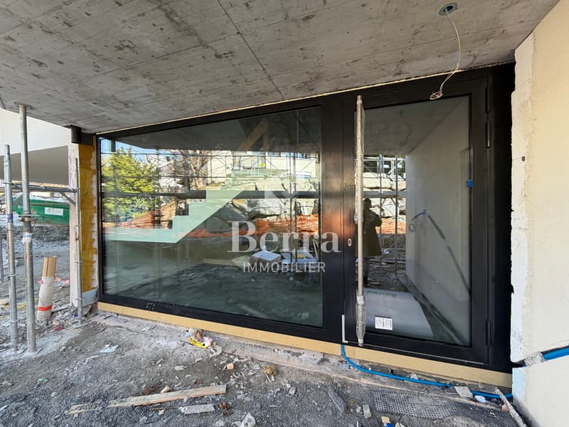 The work has started! 3.5 rooms on the ground floor (13)