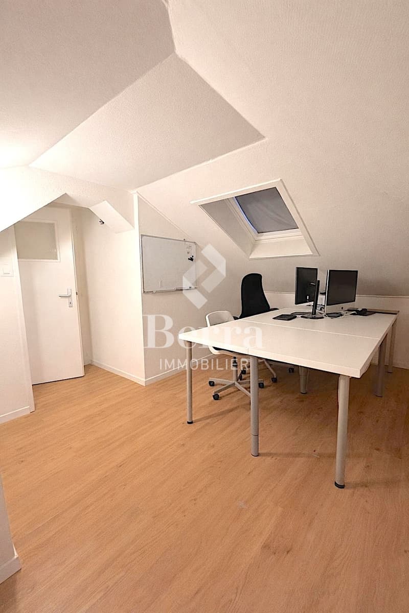 Renovated building with 3 apartments - development potential (13)