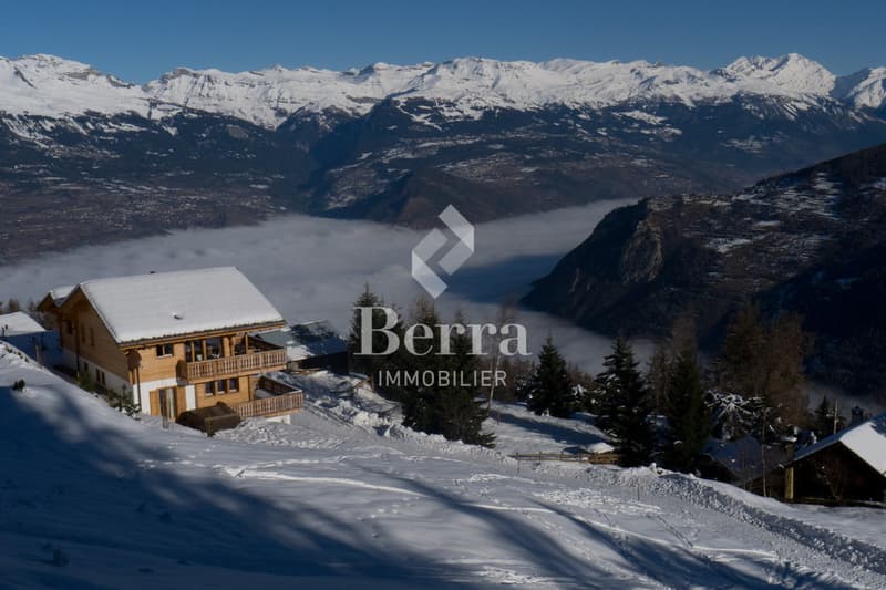 Luxury Chalet - Wellness Facilities! (2)