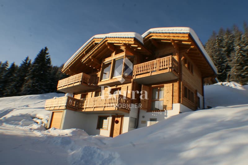 Luxury Chalet - Wellness Facilities! (1)