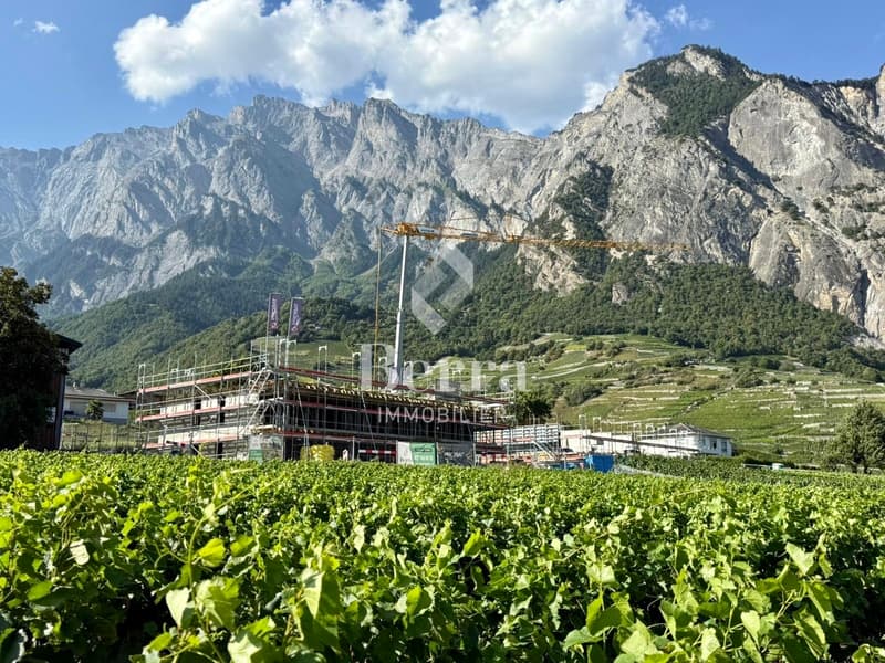 Projekt Haut de Cry Chamoson - Verfügbarkeit erschöpft (13)