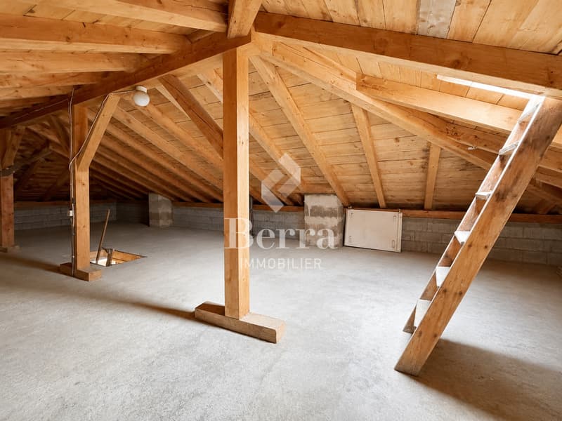 Individual villa with garden, terrace, garage and great potential. (13)
