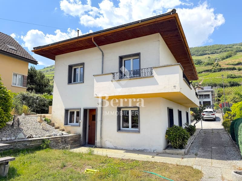 Individual villa with garden, terrace, garage and great potential. (2)