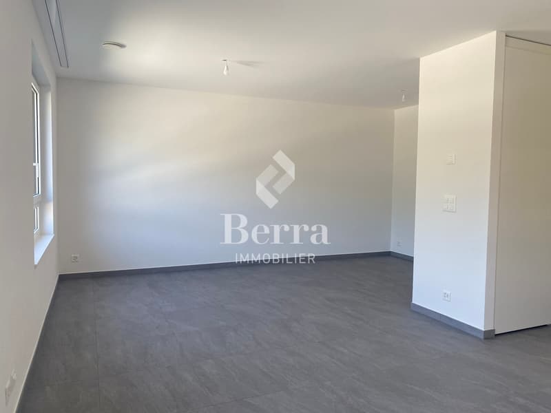 Grande studio nuovo di 45m2 in affitto! (7)