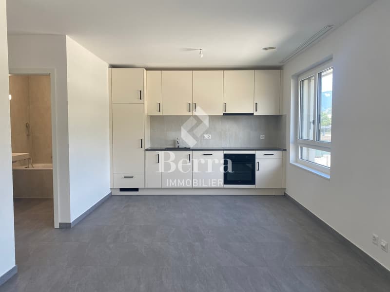 Grande studio nuovo di 45m2 in affitto! (1)