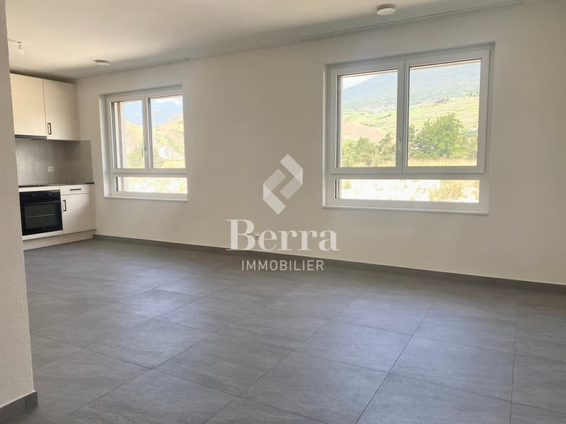 Grande studio nuovo di 45m2 in affitto! (6)