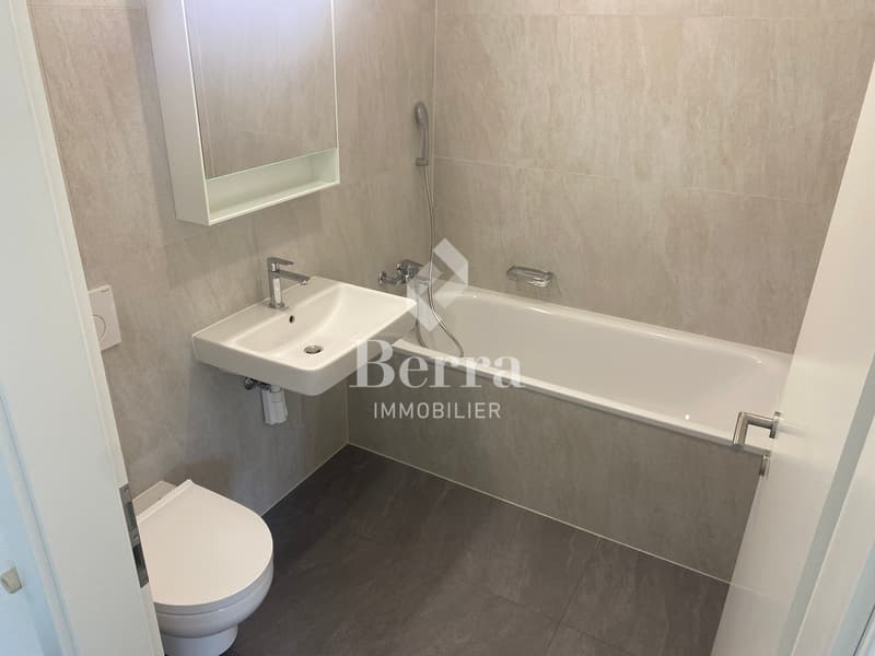 Grande studio nuovo di 45m2 in affitto! (9)